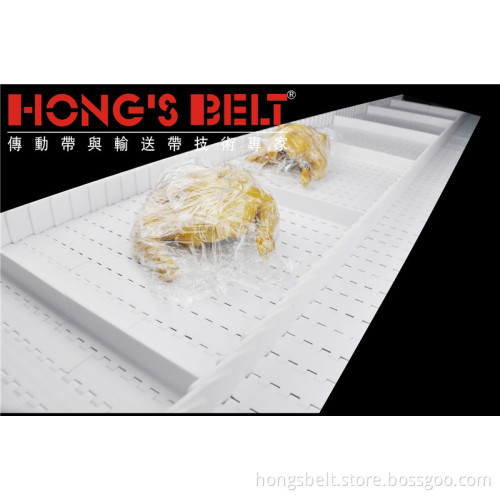 Freezing Industry Food Grade Modular Conveyor Belt